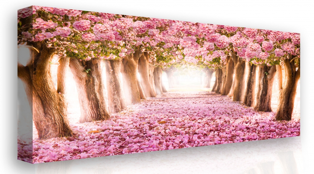 Malvis Obraz na plátně Kvetoucí stromy 150x100 cm