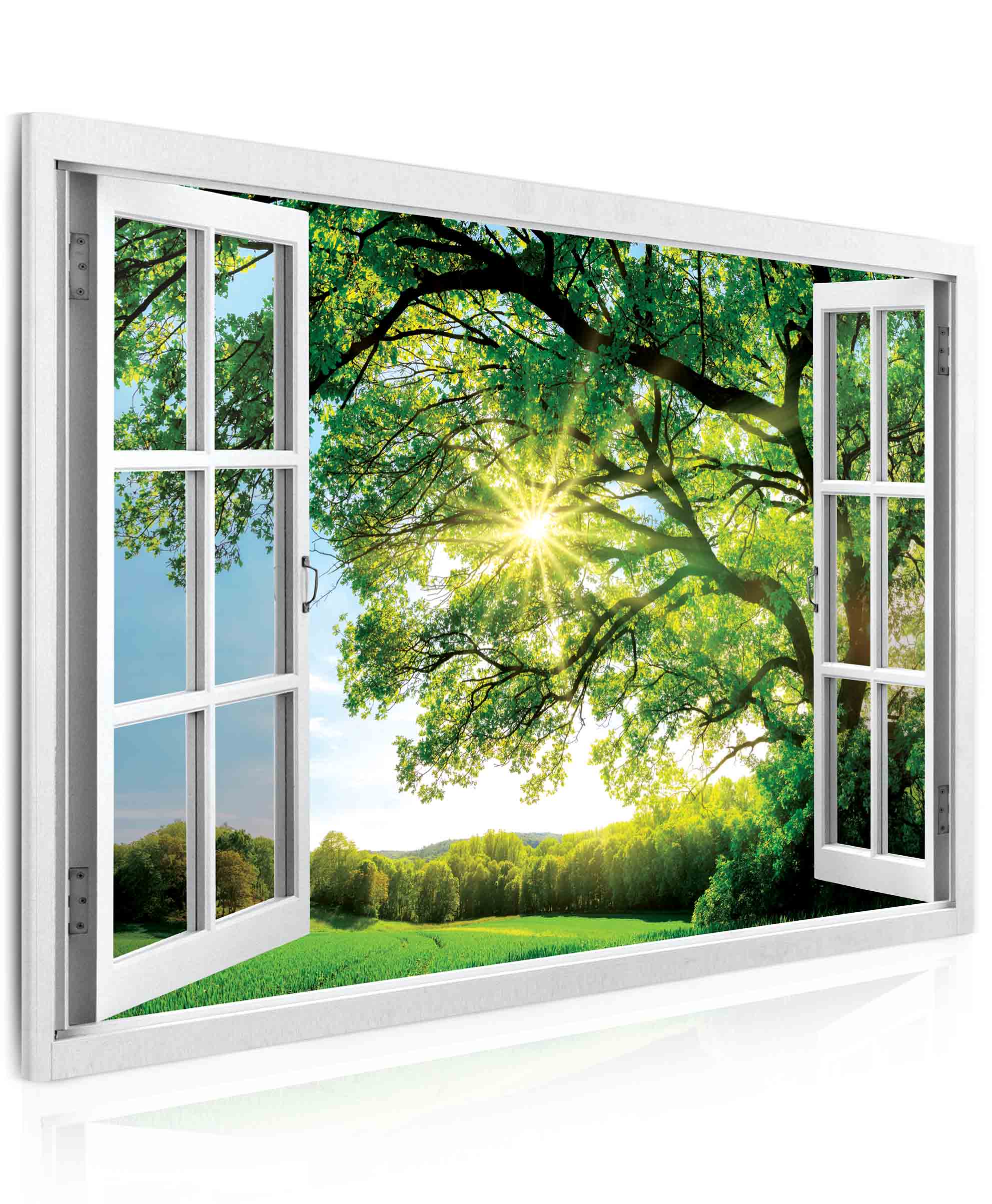 Malvis Obraz okno obrovský strom 90x60 cm