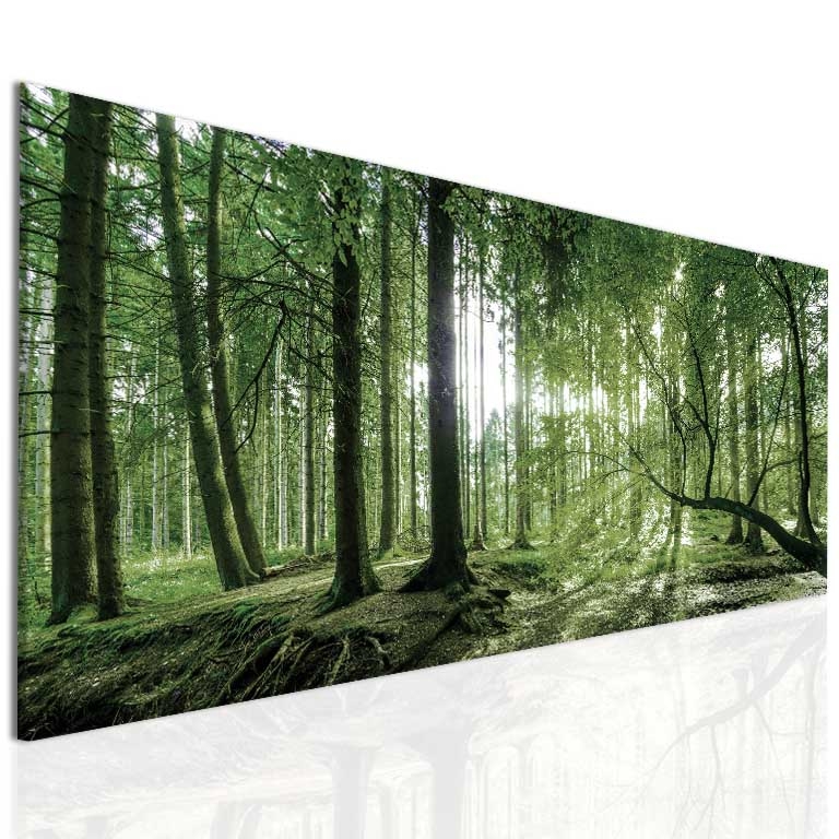 Obraz rann slunce v lese 130x60  cm