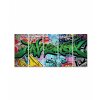 Ptidln obraz graffiti greenery 100x50  cm, 5 dl